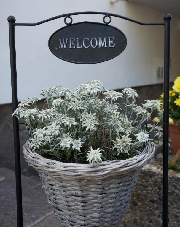 Hotel Garni Fiegl Apart Sölden Exterior foto